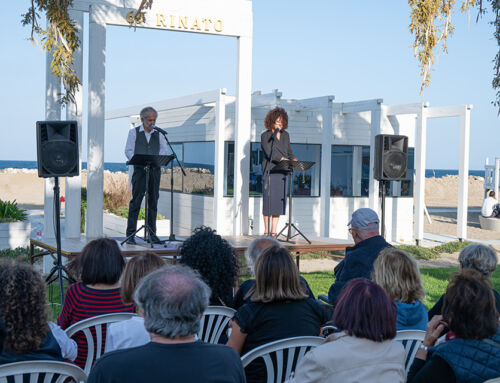 Città Teatro – Radici