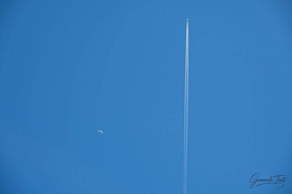 Fly me to the moon | Giancarlo Tonti