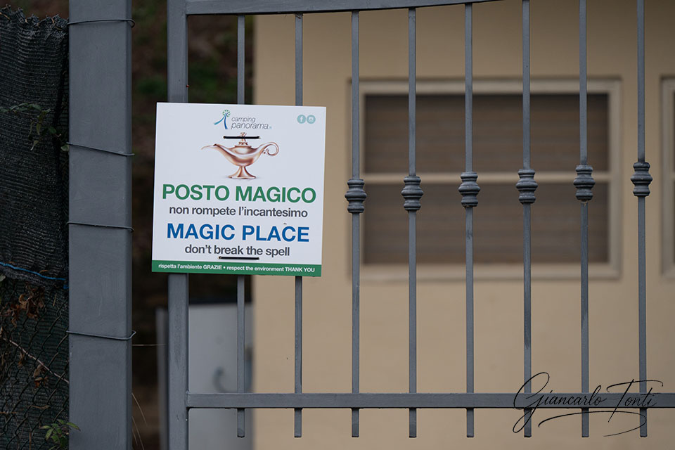 Posto magico | Giancarlo Tonti