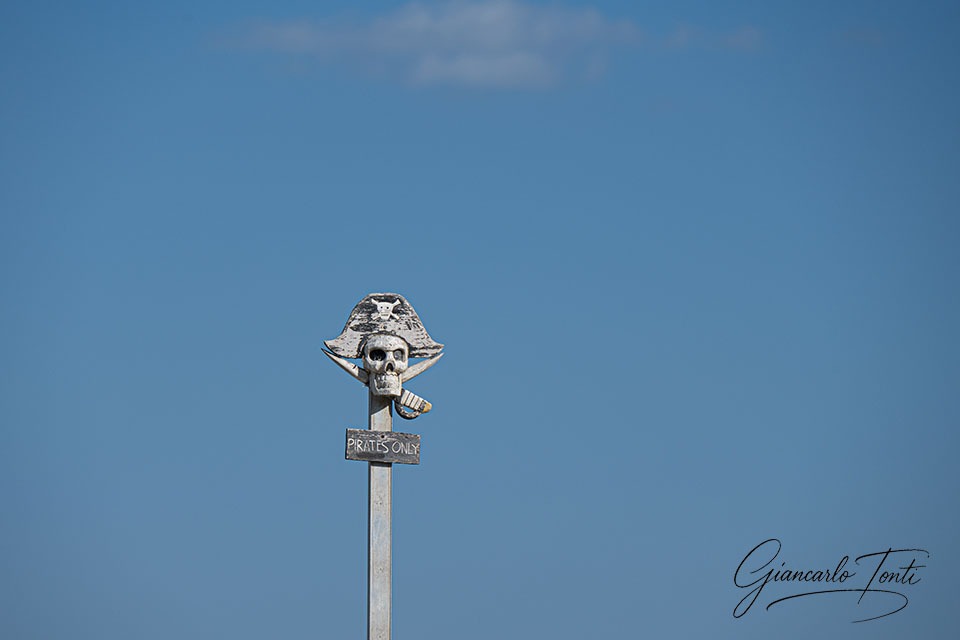 Pirates only | Giancarlo Tonti