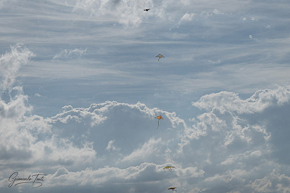 Legati a un filo | Giancarlo Tonti