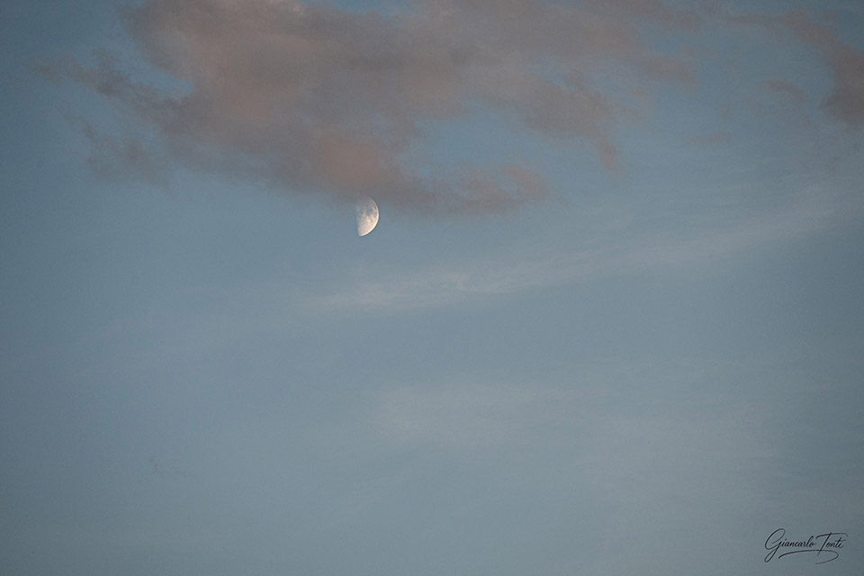 Mezzaluna | Giancarlo Tonti