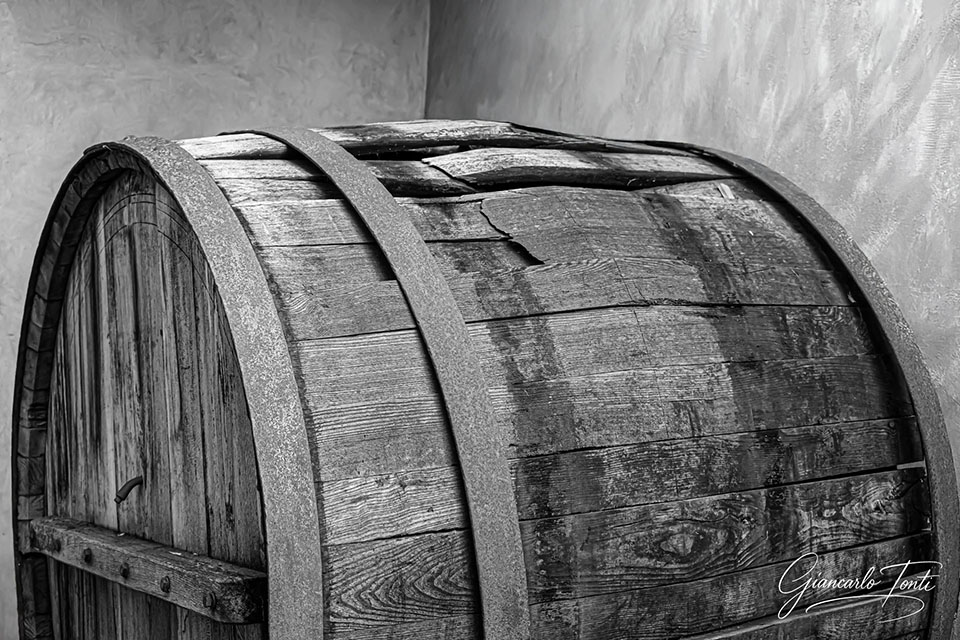 Un tempo era vino | Giancarlo Tonti