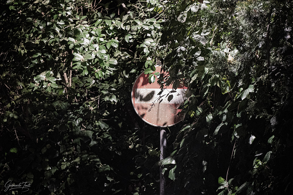 Diveti celati | Giancarlo Tonti