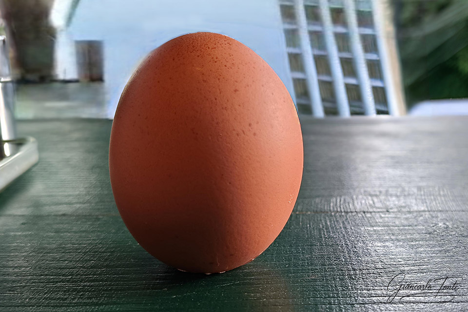 L'uovo di Colombo | Giancarlo Tonti